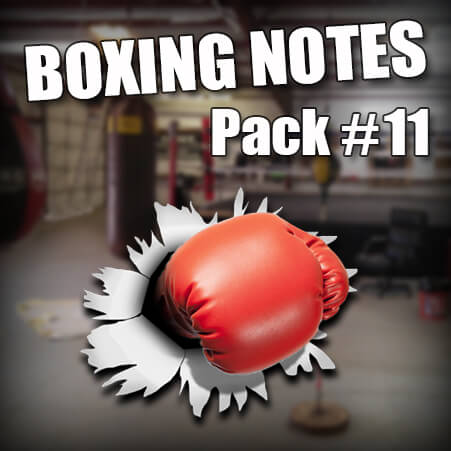 Boxing Workout Ideas - boxing notes 11